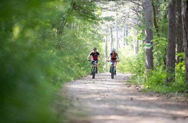 MTB Anninger, © Niederösterreich-Werbung/Markus Frühmann