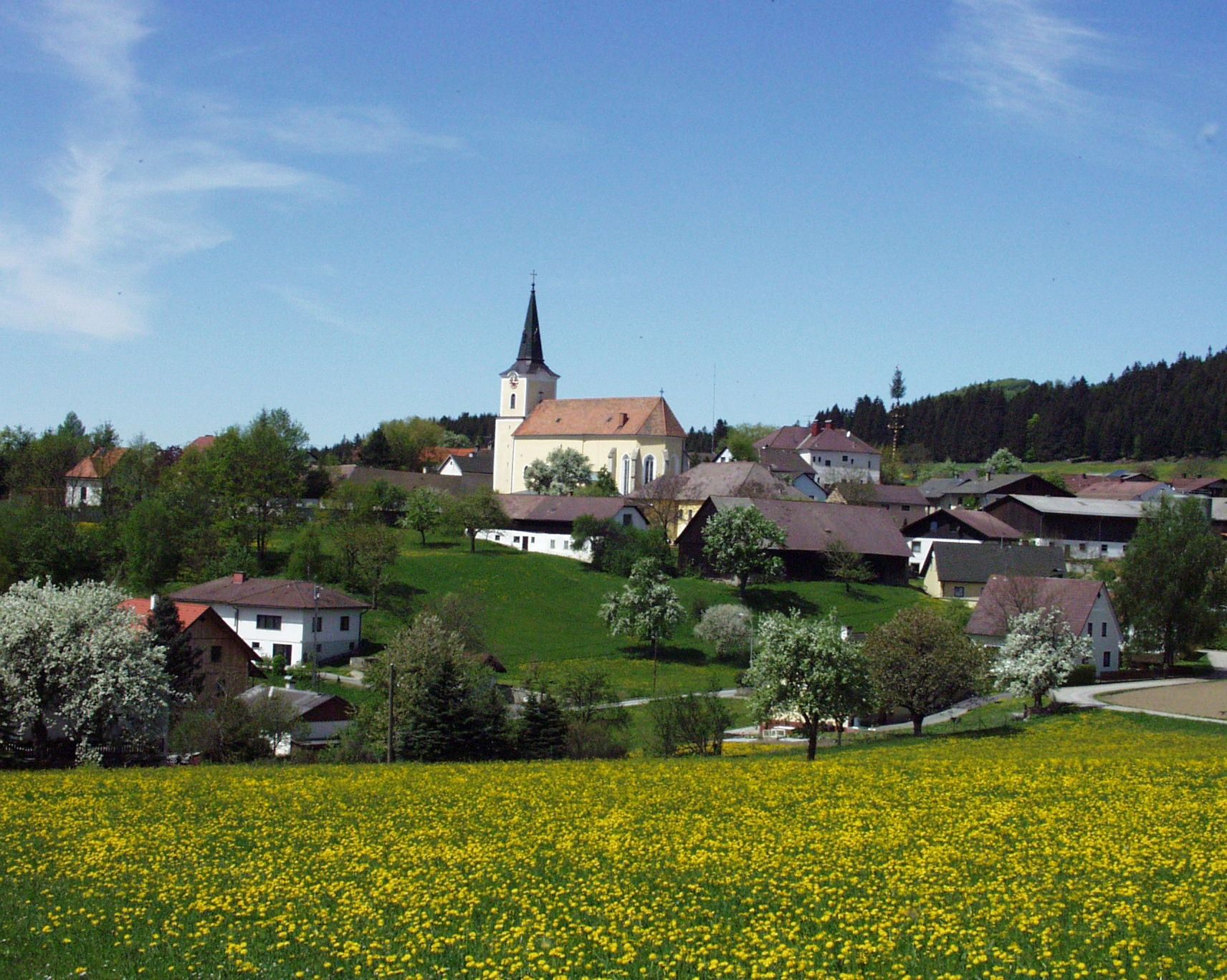 Krajina s kostelem a vesnicí v pozadí, obklopená kvetoucími stromy a loukami.
