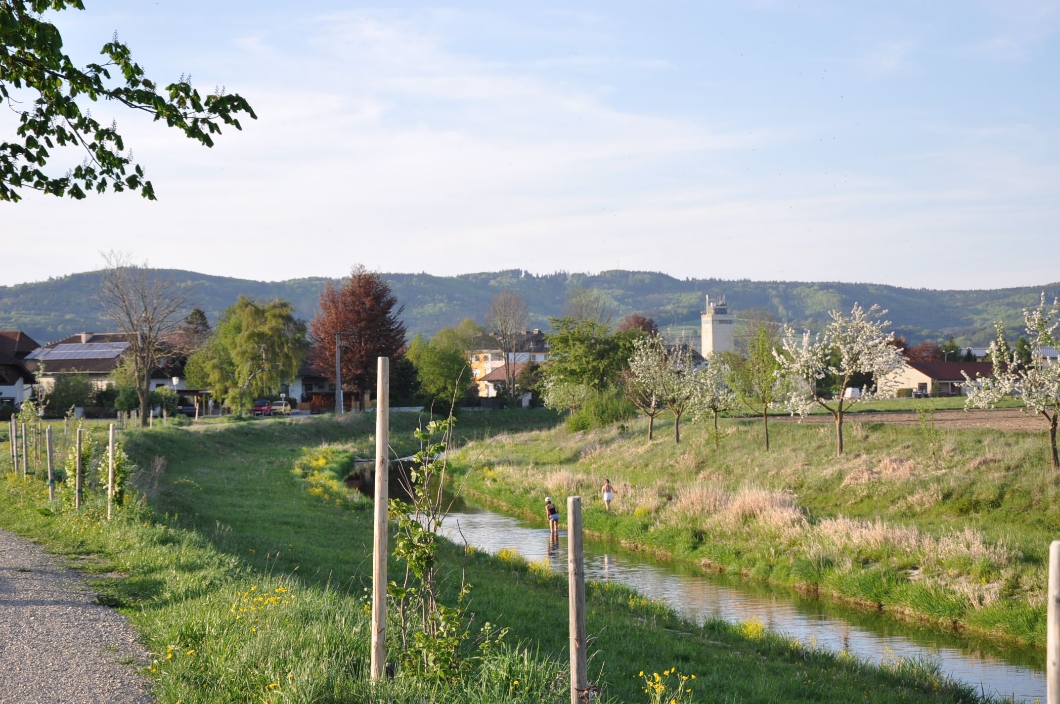 Krajina s řekou, kvetoucími stromy a kopci v pozadí.