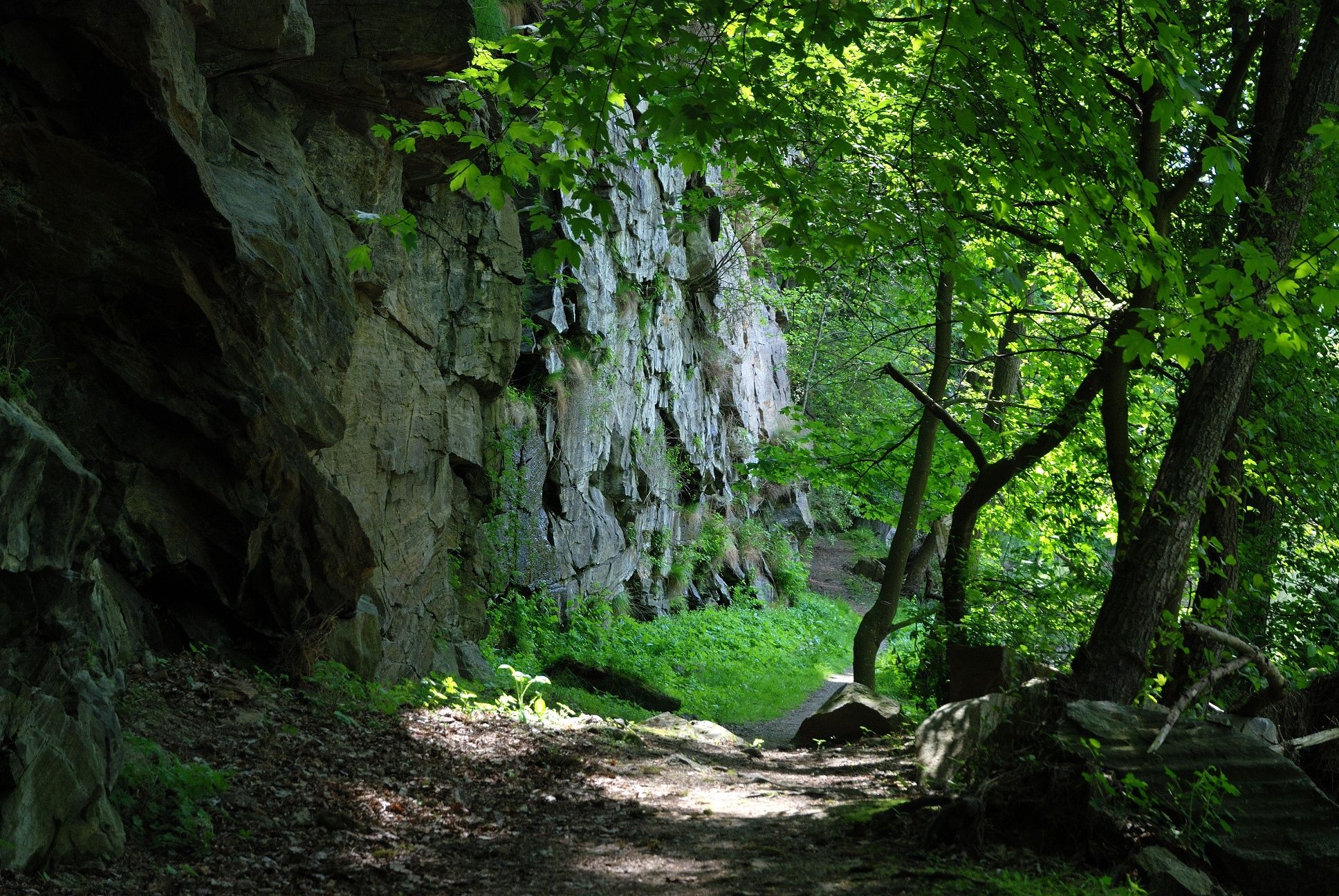 Zřícenina Buchenstein-Weg