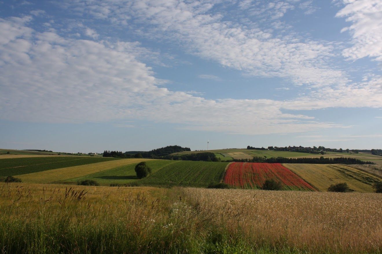 Pohled na Pleßberg-Ottenschlag
