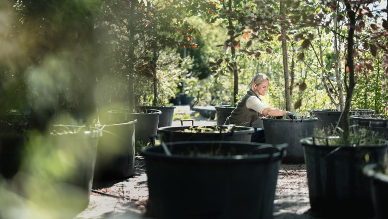 Dobrodružn&aacute; zahrada Starkl, &copy; Moststra&szlig;e, dochbodnliacht