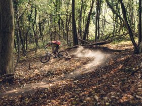 Feuerwehrweg, &copy; Wachau-Nibelungengau-Kremstal