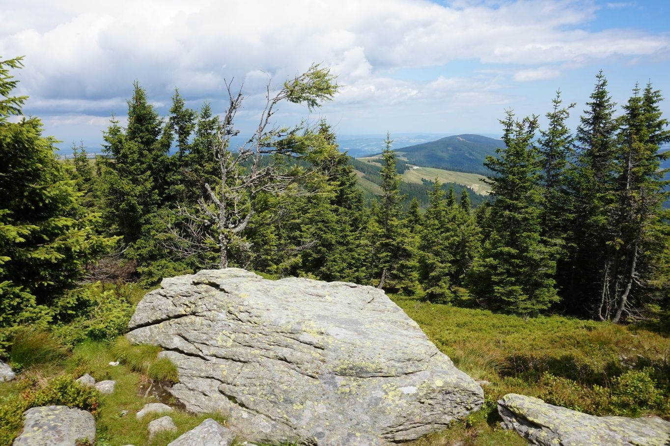 alpannonia - Regionální trasa Rettenegg - Pretul
