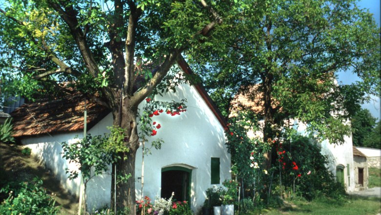 Keller, © Gemeinde Höflein