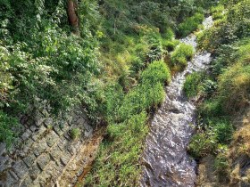 Albrechtsbach, &copy; Marktgemeinde Hoheneich