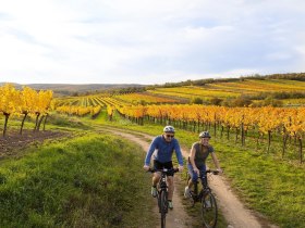 Radfahren im Weinviertel, &copy; Retzer Land / Astrid Bartl