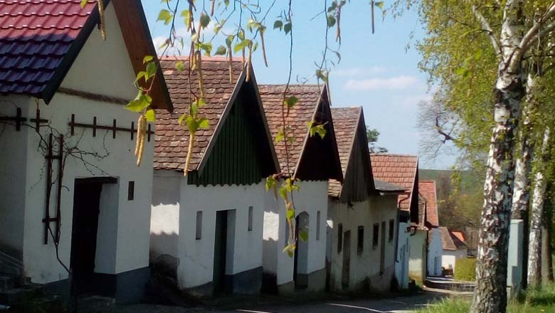 Wine cellar lane Kammersdorf, © Ilse Gritsch