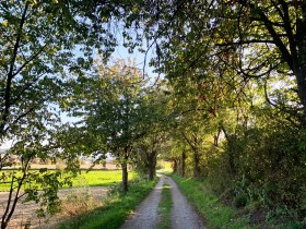 Kostbare Jubil&auml;umsrunde Herzogenburg, &copy; Elisabeth Herzog-Fitzke