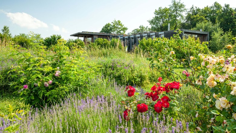 Municipality of Hardegg, &copy; Retzer Land / Die Reisereporter