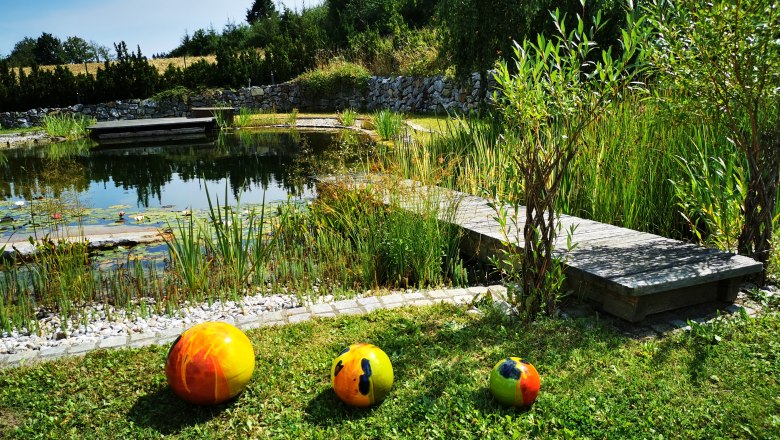 swimming biotope2, © C Appartement Wistrcil Stellfeld, Martina Stellfeld