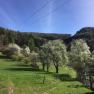 Hiking trail, © Familie Prack