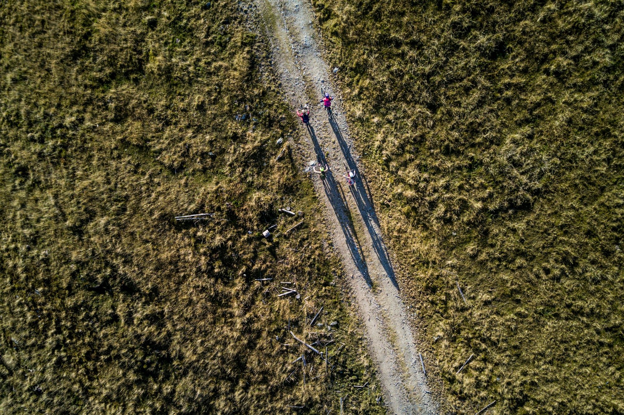 Haller Trail by Wexl Trails #15a