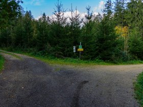 Beginn der romantischen K&uuml;hhaltrunde, &copy; Unknown