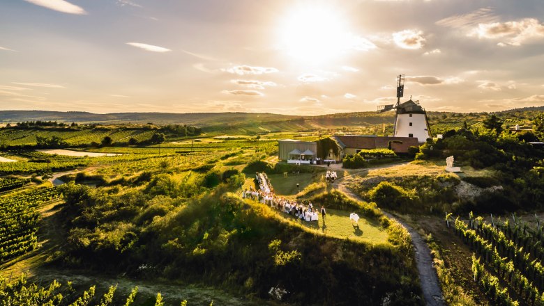 Večeře ve weinviertelských vinohradech, © Weinviertel Tourismus/Robert Herbst