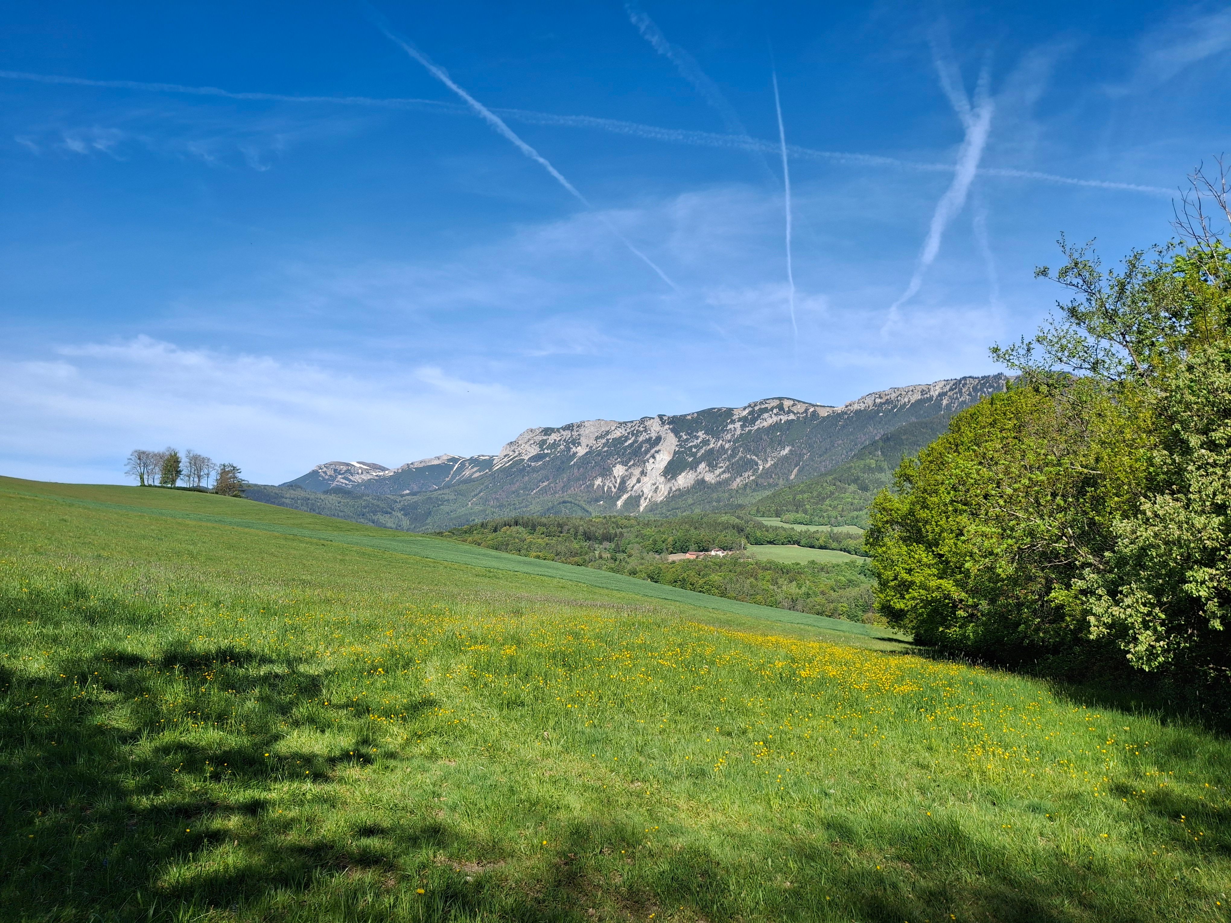 Zelená louka se žlutými květinami na pozadí horského panoramatu pod modrou oblohou
