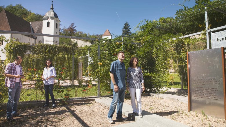 Charterhouse garden, &copy; Daniela Matejschek