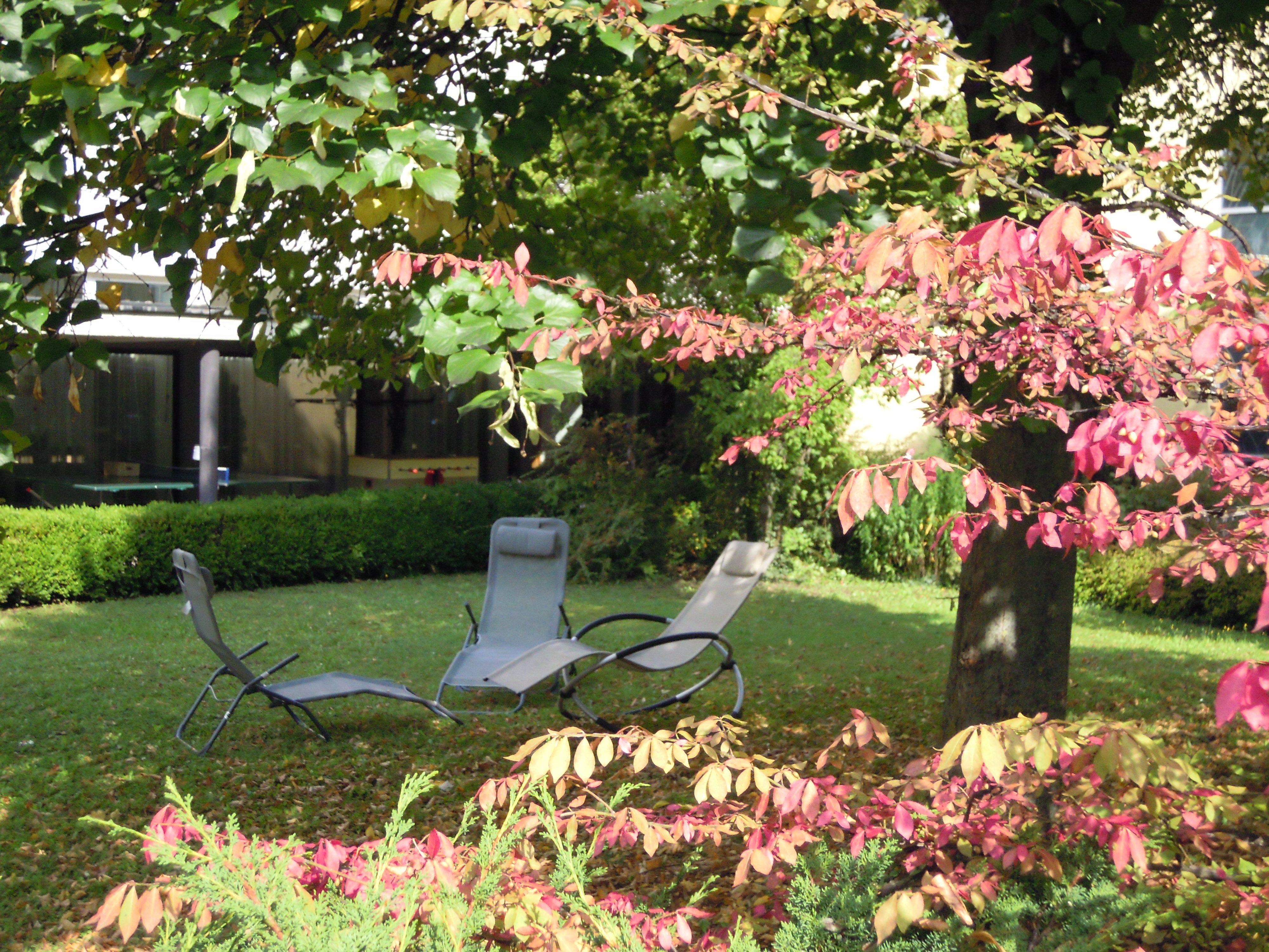 Herbst_Innenhof