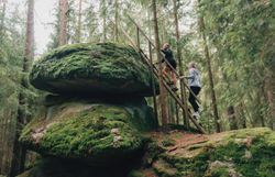 Zwei Personen steigen über eine Holzleiter auf einen großen, moosbewachsenen Felsen im Wald; der Kierlingstein liegt eingebettet zwischen hohen Nadelbäumen im Waldviertel.