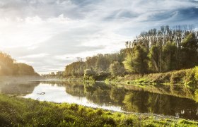 Dunajské lužní lesy u Haslau, © Niederösterreich-Werbung/ M. Liebert