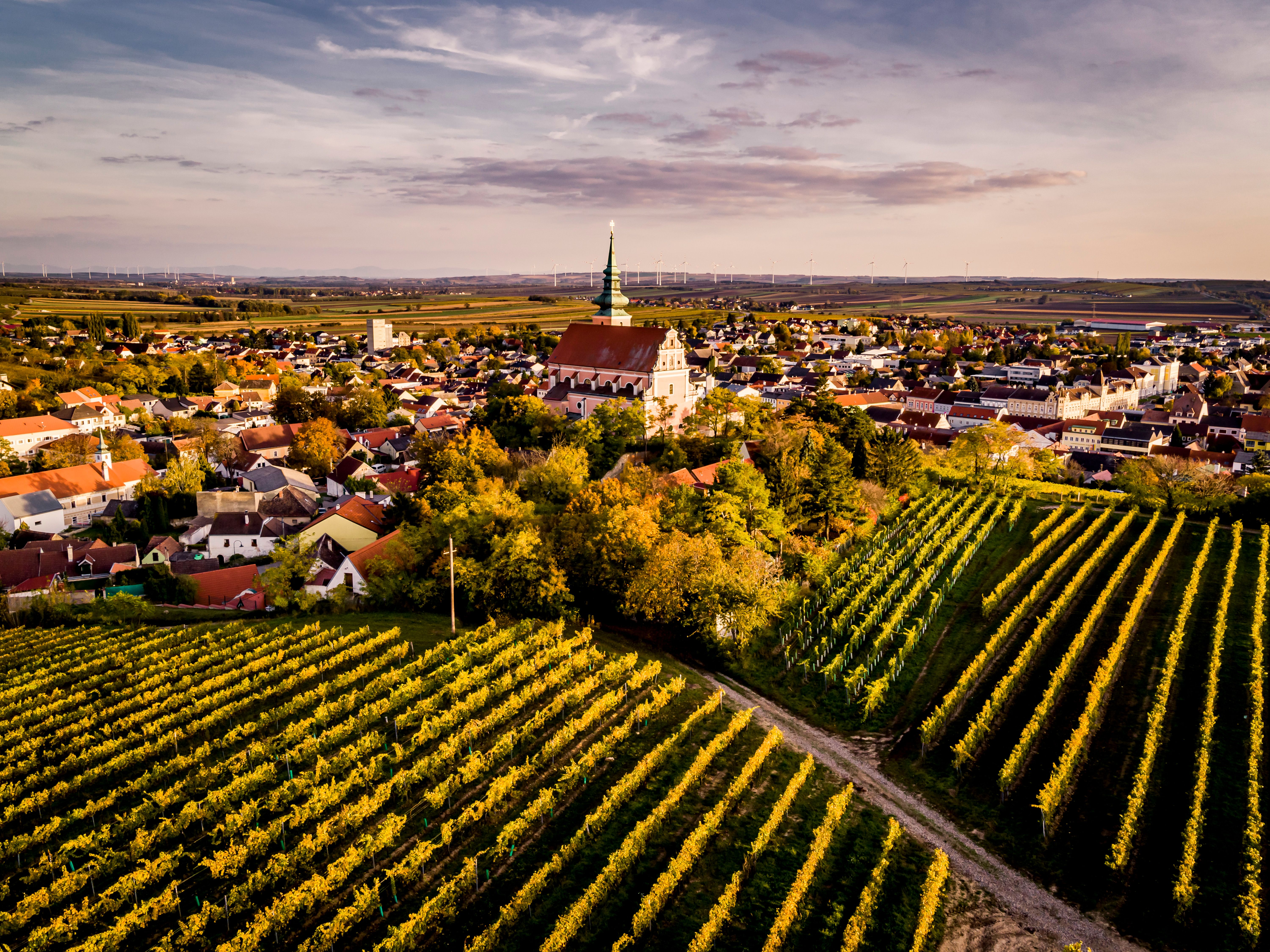 Letecký pohled na město s kostelem a vinicemi v popředí.