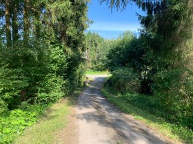 Weg zum Steinbruch, &copy; Marktgemeinde Echsenbach