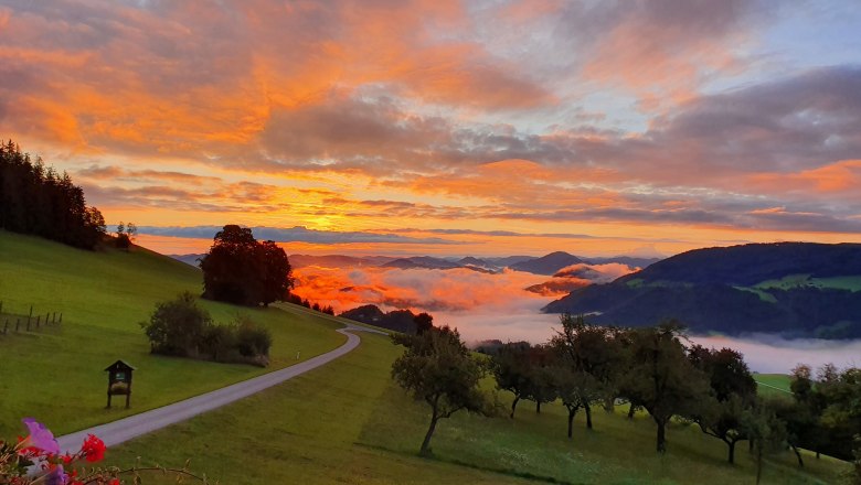 Morning mood, © Melanie Schweighuber