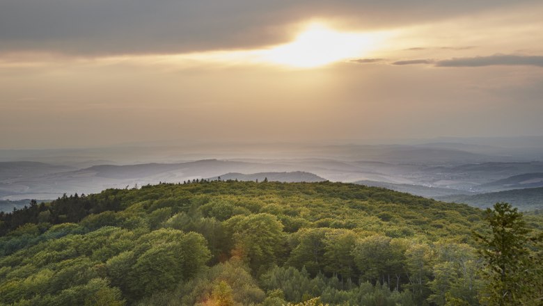 Biosférický rezervace Vídeňský les, © Andreas Hofer