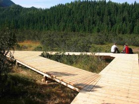 Hochfl&auml;che Hochreit - Hochmoor, &copy; Mostviertel