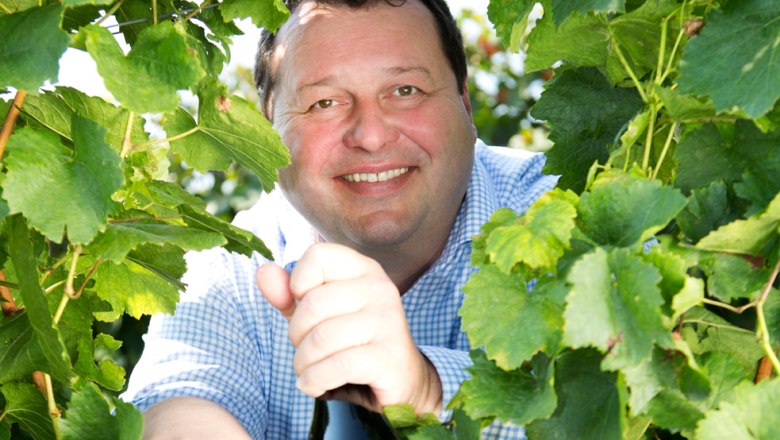 Walter Glatzer, Göttlesbrunn, © Weingut Glatzer