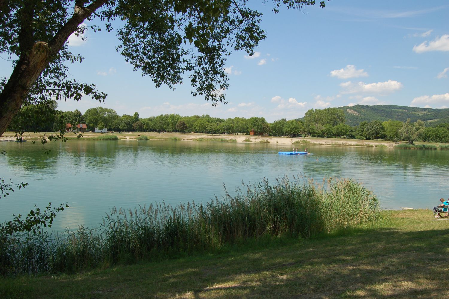 Klidné jezero se stromy a molem v pozadí, obklopené zelenou krajinou.