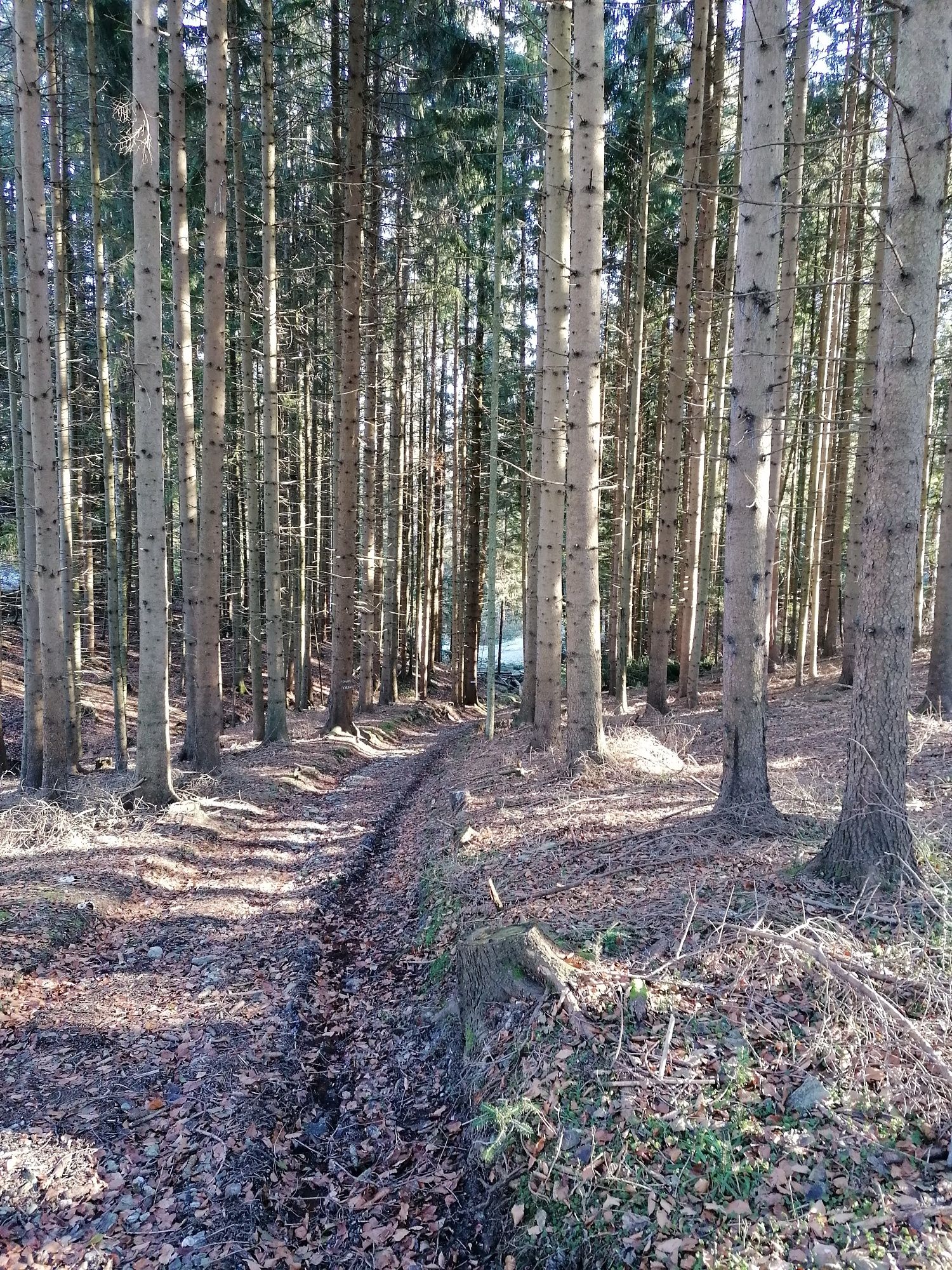 Dutá cesta směrem na Passkapelle