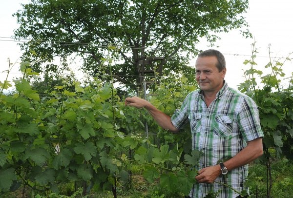 Winery Leopold Blauensteiner, © Monika Helm