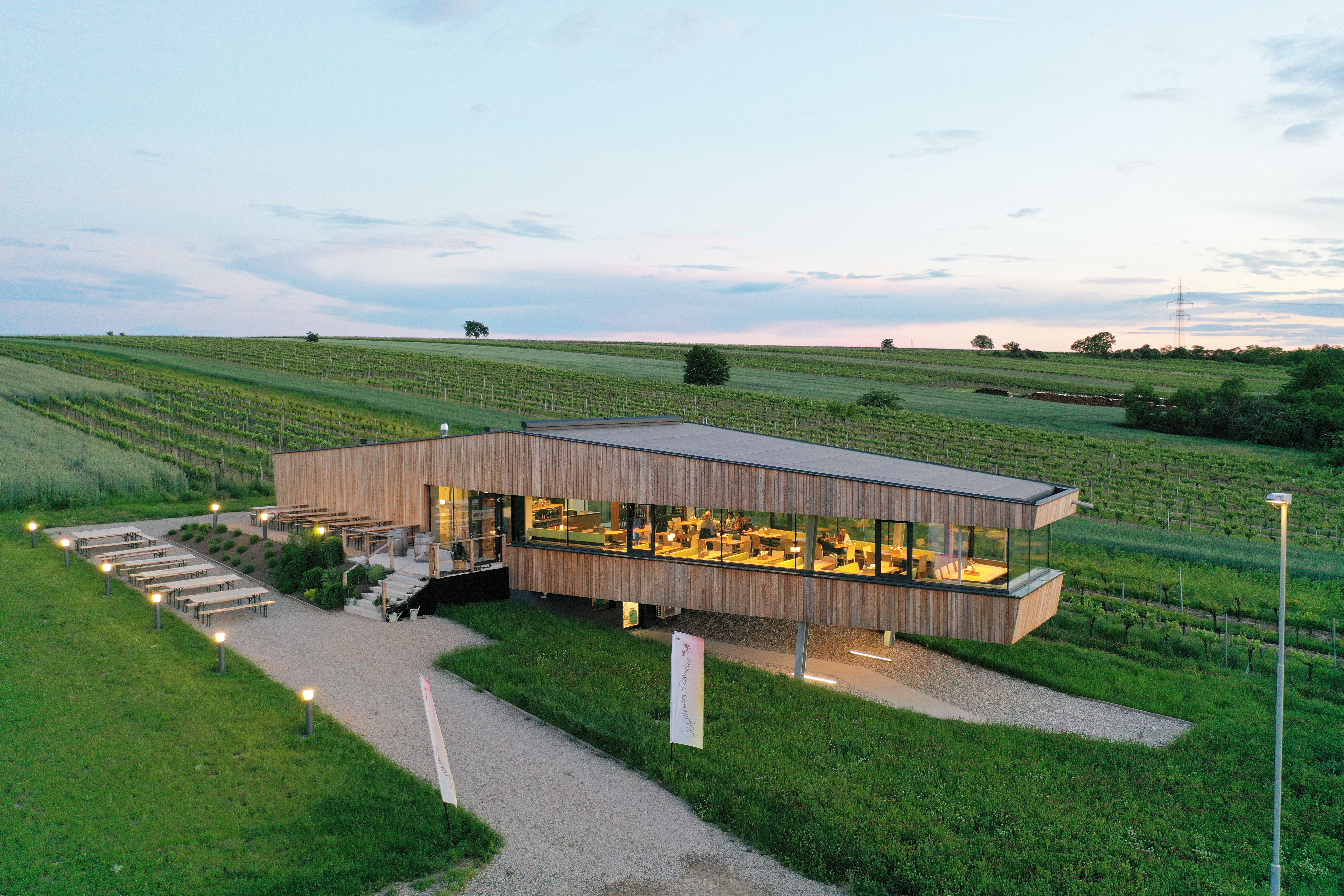 Moderní budova obklopená vinicemi při západu slunce.
