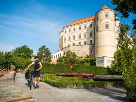 Ein Abstecher nach Mikulov zahlt sich aus, &copy; Weinviertel Tourismus / POV Robert Herbst