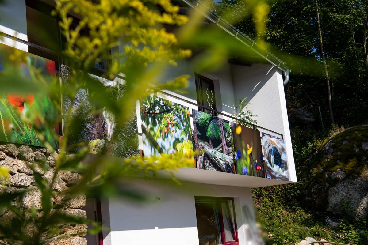 Dům s balkonem, vyzdobený barevnými obrázky přírody, obklopený zelenou vegetací.