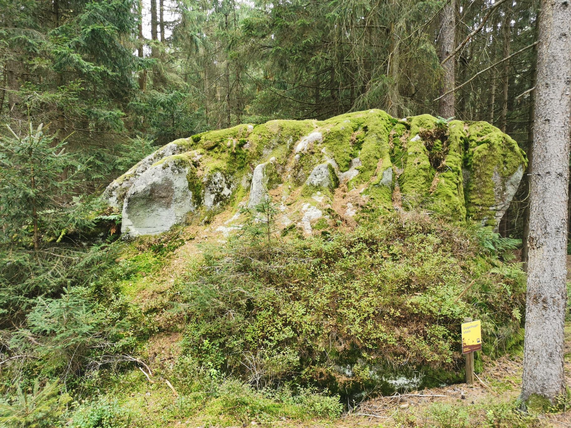 Gugelhupfstein u Eberweisu