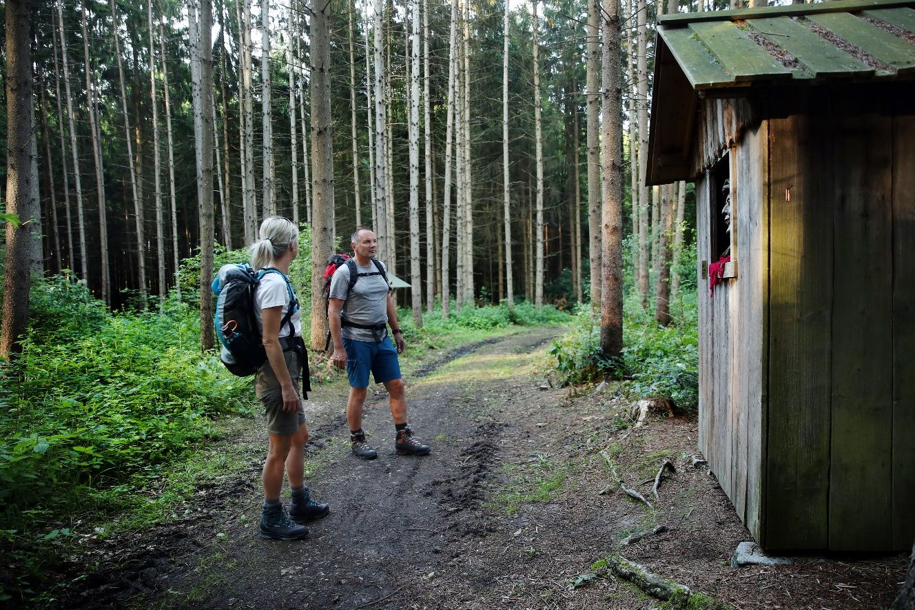 Pouť lesem