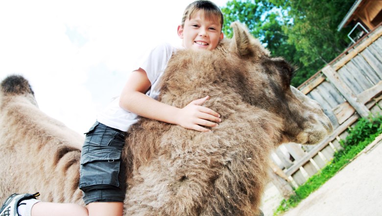 Vždy nějak&eacute; divadlo, &copy; weinfranz.at