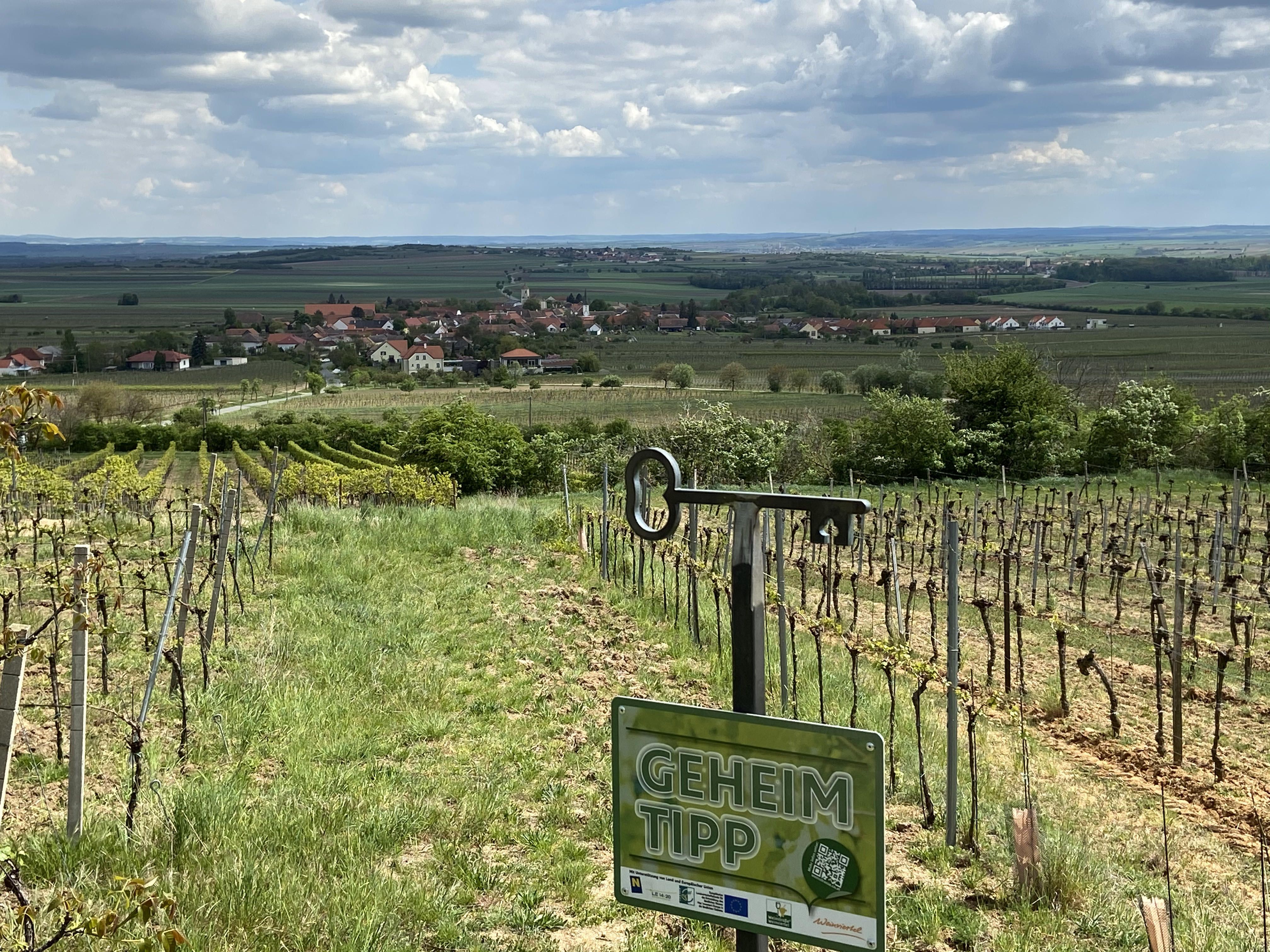 Vinice s výhledem na vesnici ve Weinviertelu, cedule s nápisem "Insider tip".