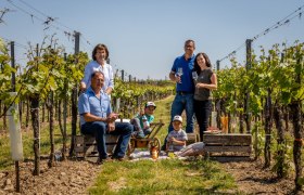 Viticulture Maier, © Weinbau Maier
