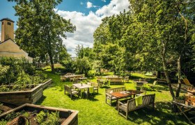 Flea Donaugartl, © Jürgen Skarwan