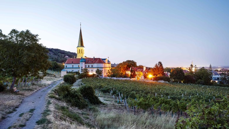 vinařský podzim ve Vídeňském lese, © Hauke Dressler