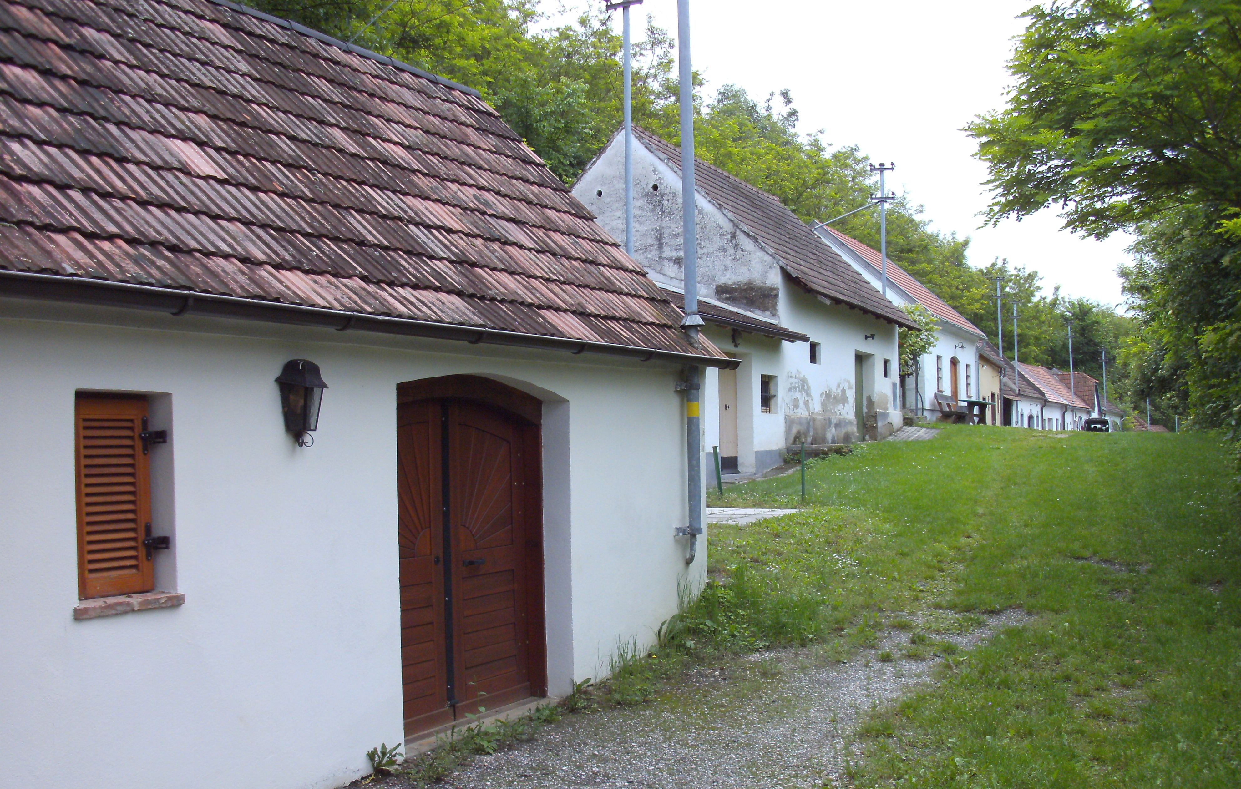 Řada vinných sklepů v zeleni v Absdorfu.