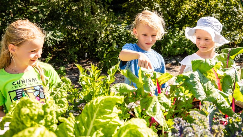 Die Garten Tulln, © Friedl und Schmatz