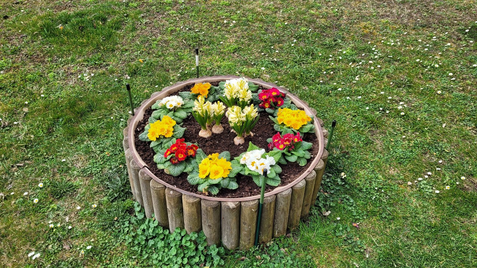 Květinový ostrov