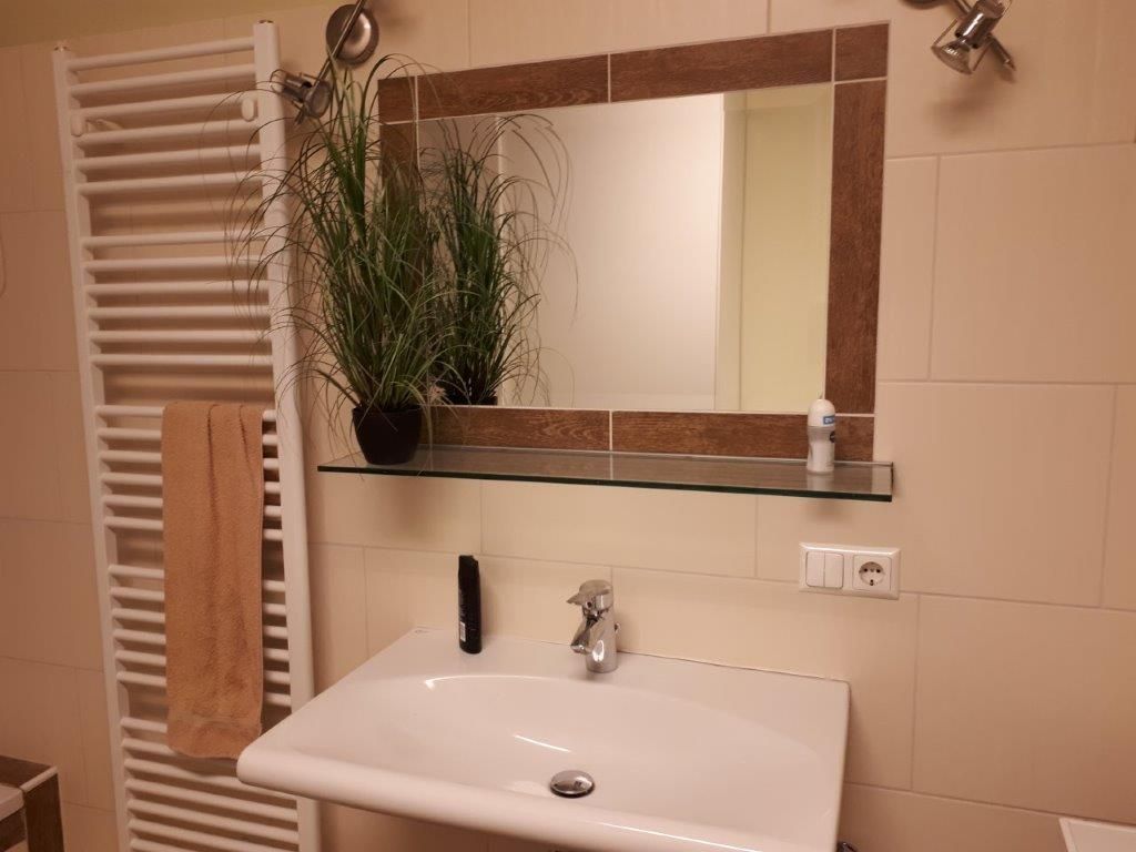 Koupelna s umyvadlem, zrcadlem, věšákem na ručníky a rostlinou.