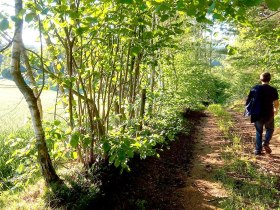 Kirchbach Himmelreich, &copy; waldsoft
