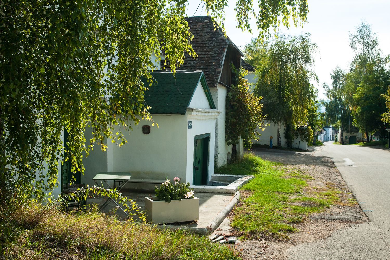 Klidná sklepní ulička s bílými budovami a zelenými dveřmi, obklopená stromy a rostlinami.