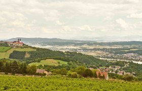 View of Maria Taferl and the Danube valley, © Klaus Engelmayer